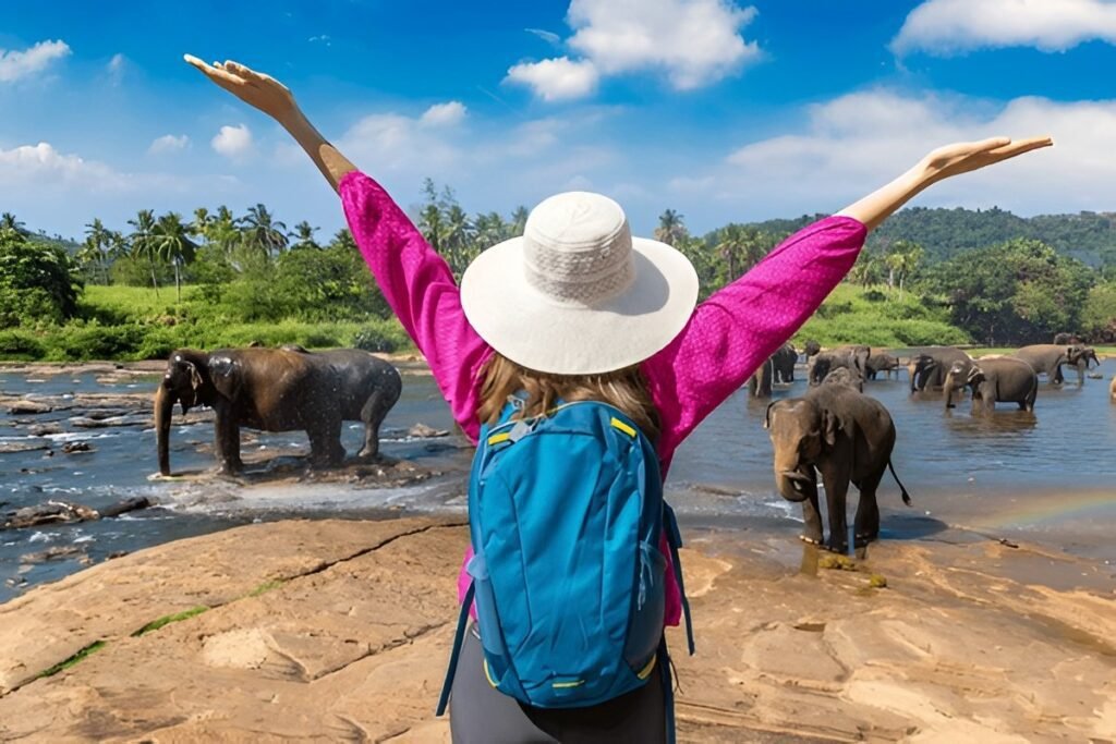 Elefantes en Pinnawala durante viaje familiar en Sri Lanka